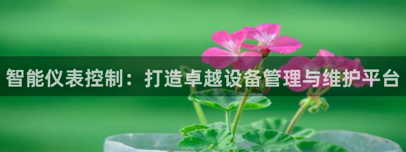 顺盈娱乐招商左原判官333OO