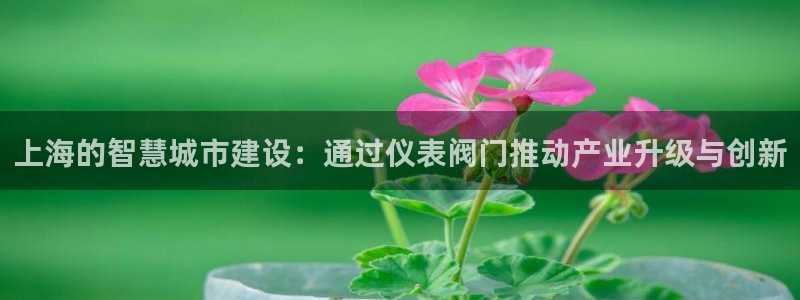 顺盈娱乐2