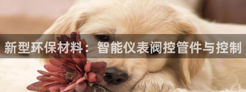 顺盈娱乐主管