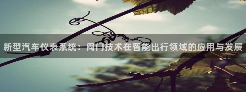 盈顺娱乐休闲室
