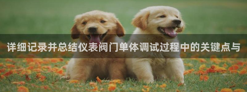 顺盈娱乐是什么
