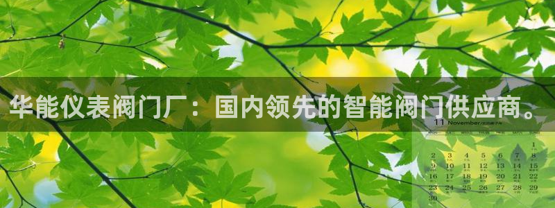 顺盈娱乐平台登录