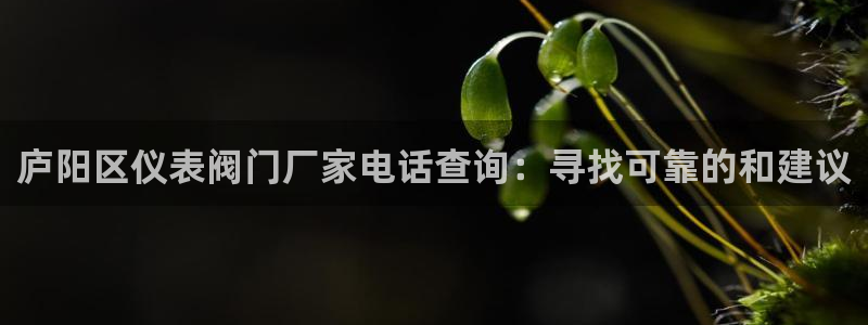 清远顺盈广场娱乐公司
