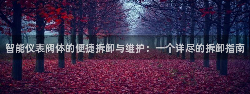 顺盈娱乐在线开户流程