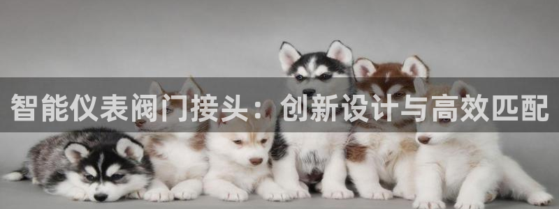 顺盈娱乐402201