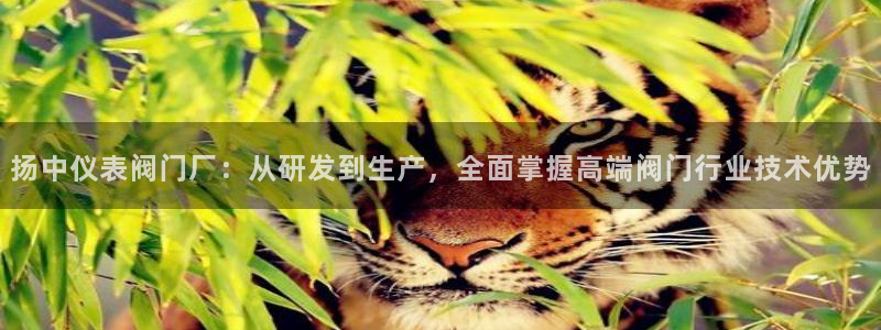 娱乐顺盈国际