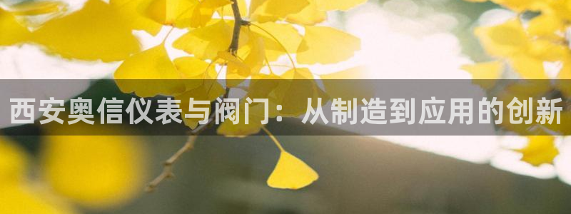 顺盈娱乐登录网址