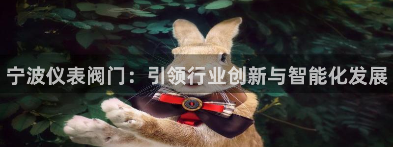 顺盈娱乐直究7276O
