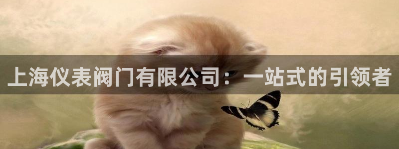 清远顺盈娱乐集团面试
