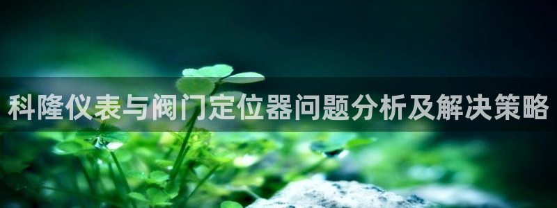 顺盈娱乐主管杂判官333OO