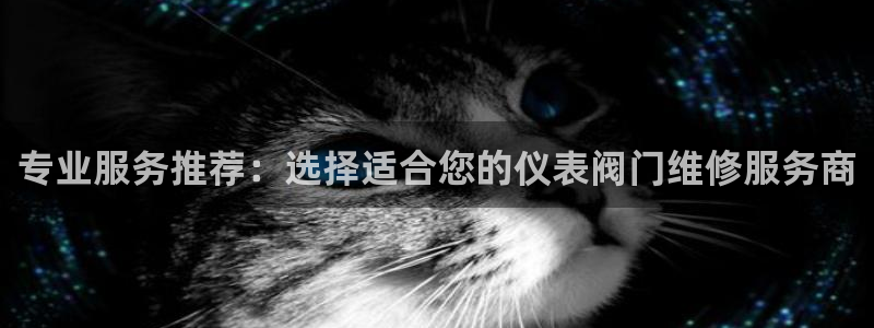顺盈2娱乐在线教育