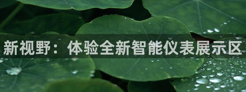 顺盈娱乐主管去判官333OO
