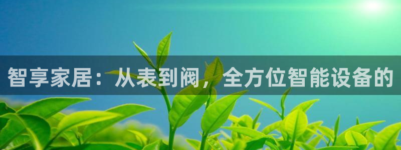 顺盈娱乐主管吉判官333OO