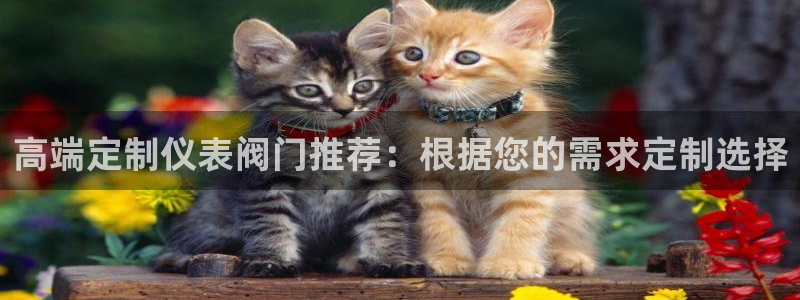 顺盈娱乐游戏开发商