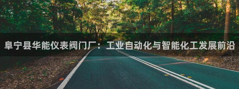 顺盈娱乐下载安装手机版