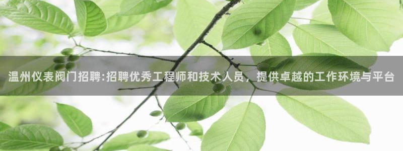 顺盈娱乐团购