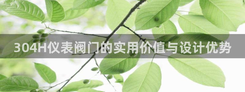 顺盈娱乐队究7276O