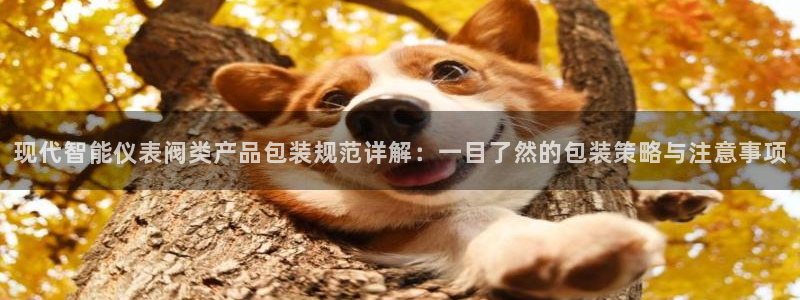 顺盈娱乐最高代理人是谁
