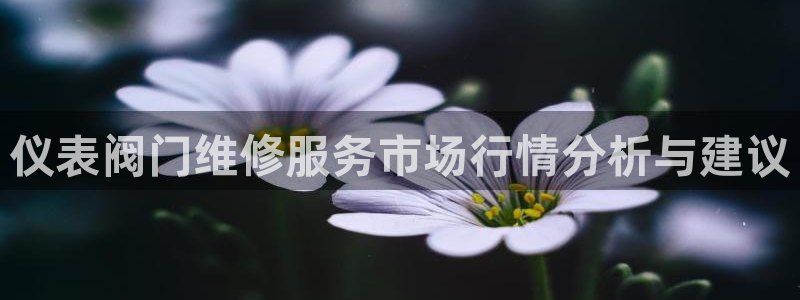 顺盈娱乐下载安装官方版