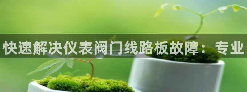 顺盈娱乐地址