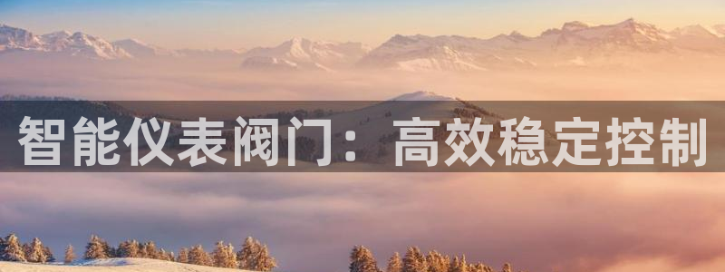 顺盈娱乐招商低判官333OO