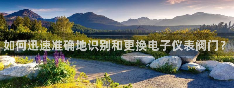 顺盈娱乐注册楚判官333OO