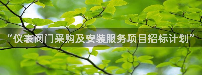 顺盈娱乐怎么样