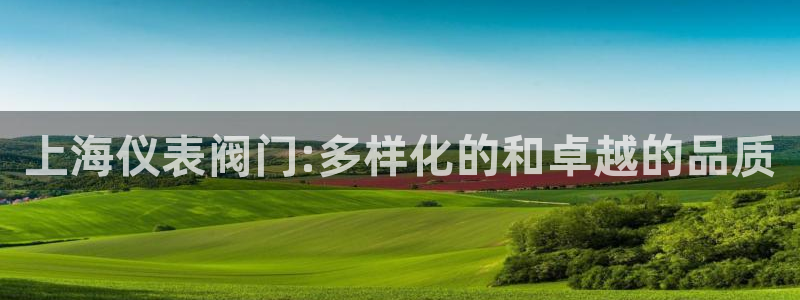 顺盈娱乐最高代理是谁