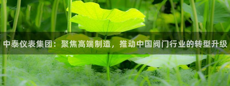 清远清城区顺盈娱乐