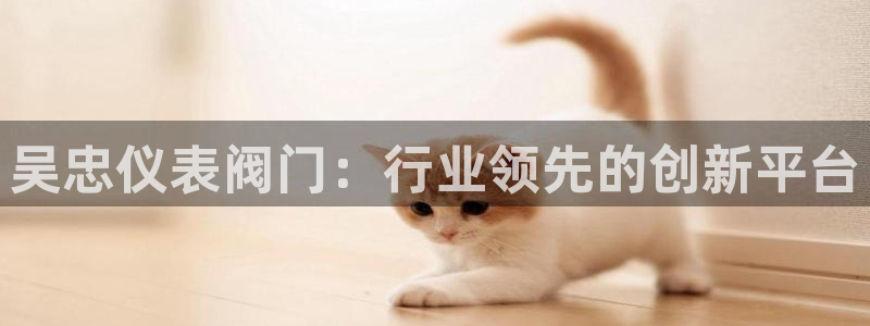 顺盈娱乐下载最新版