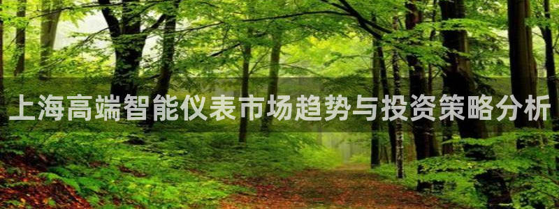 顺盈娱乐下载安装官方