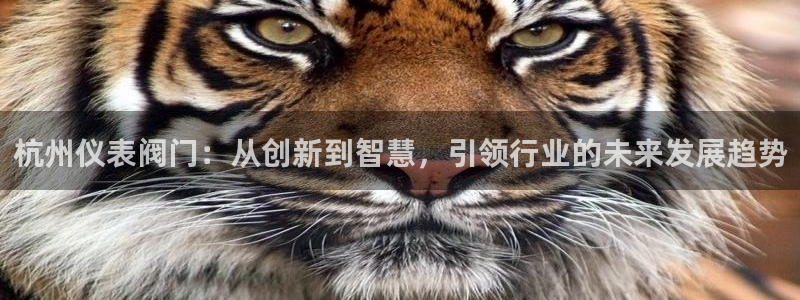 顺盈娱乐官网下载