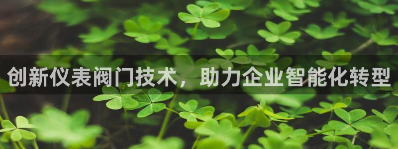 顺盈娱乐团购怎么样