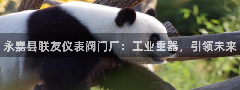 顺盈娱乐2