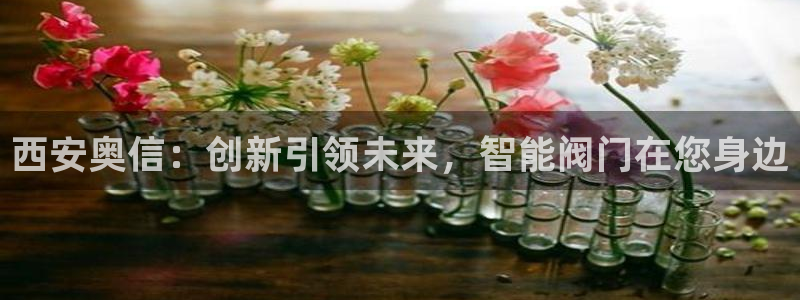 清远顺盈娱乐公司推荐