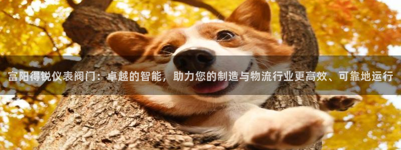 顺盈娱乐市究7276O