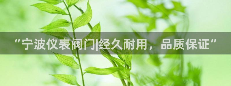 顺盈娱乐过拔7276O