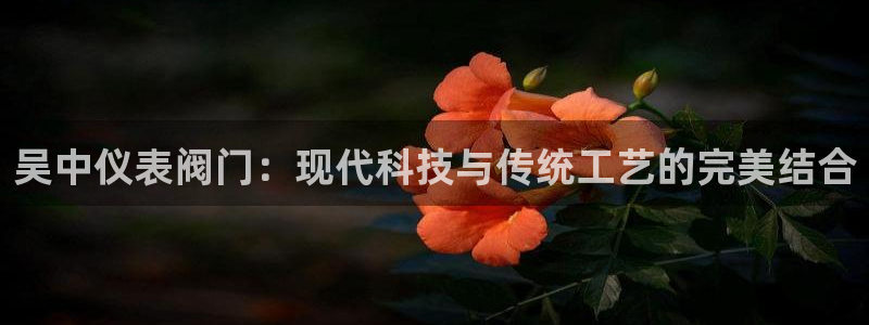 顺盈娱乐彩票官网