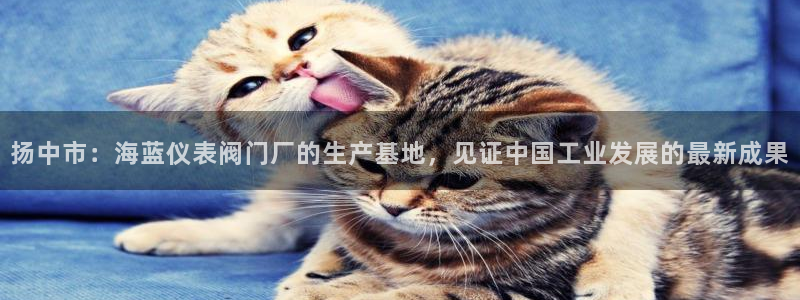 顺盈娱乐下载官网地址