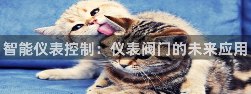 顺盈娱乐下载安装最新版