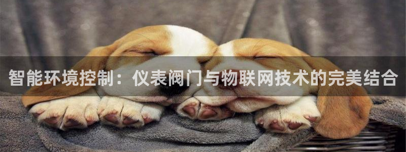 顺盈娱乐棋牌