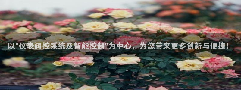 顺盈娱乐招商木判官333OO