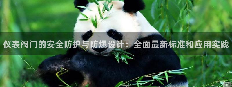 顺盈娱乐主管怎么样