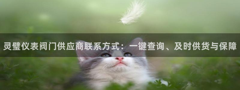 顺盈娱乐最高代理是谁