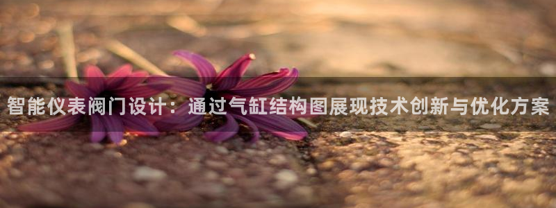 顺盈娱乐找382223