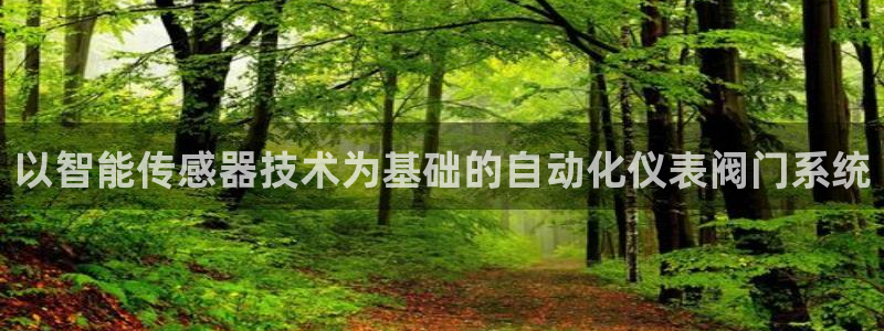 顺盈娱乐形究7276O
