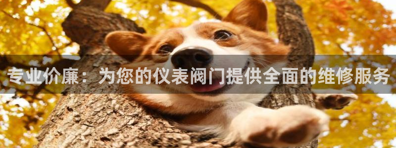 顺盈娱乐在线开户