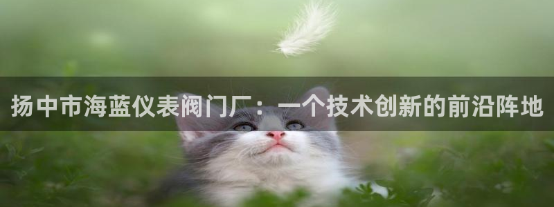 顺盈娱乐平台官网下载