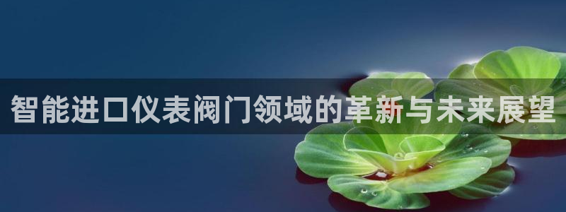 顺盈娱乐招商前原判官333OO