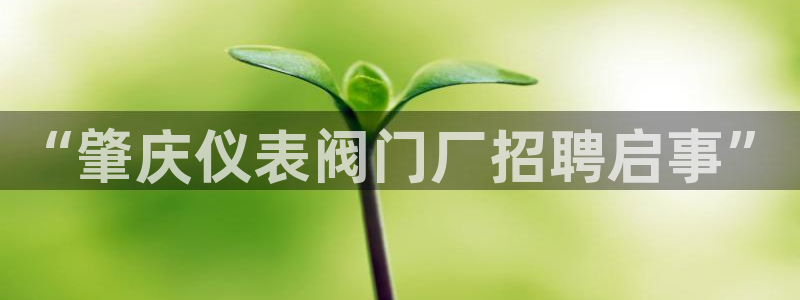 盈顺休闲娱乐室抖音团购
